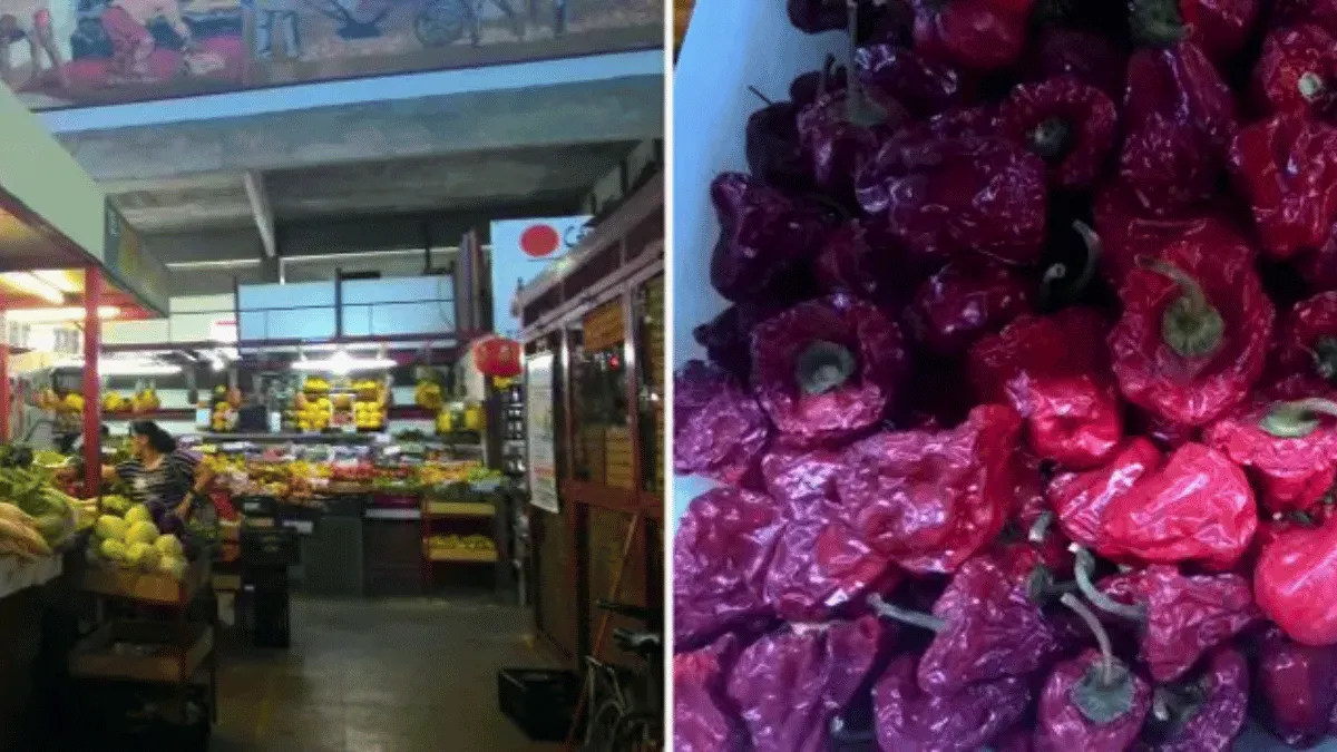 Lote em Juiz de Fora
