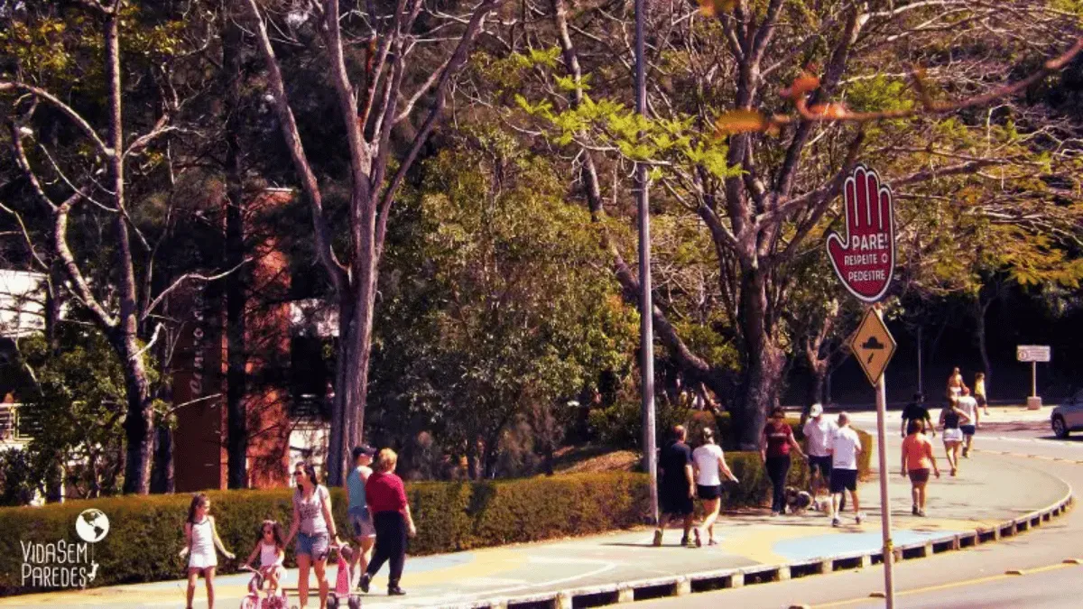 Natureza cantar